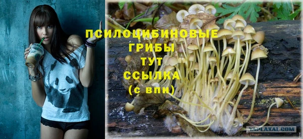 мдпв Абинск