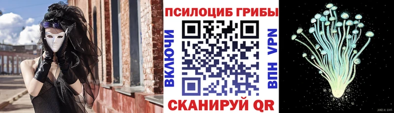 Псилоцибиновые грибы прущие грибы  Ипатово 